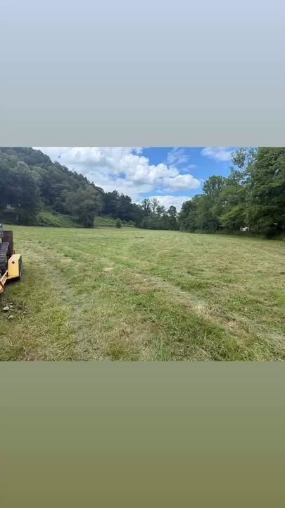 Bush Hogging
