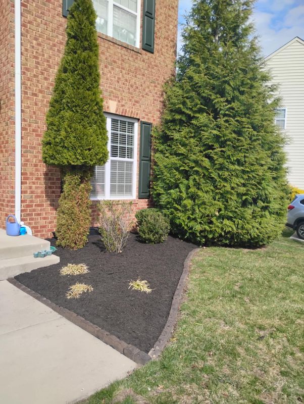 Landscape Design/Mulching