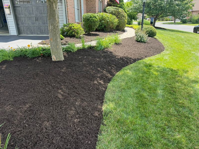 Garden Maintenance