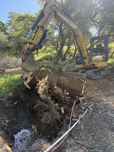 Fuel Reduction in Oroville, CA