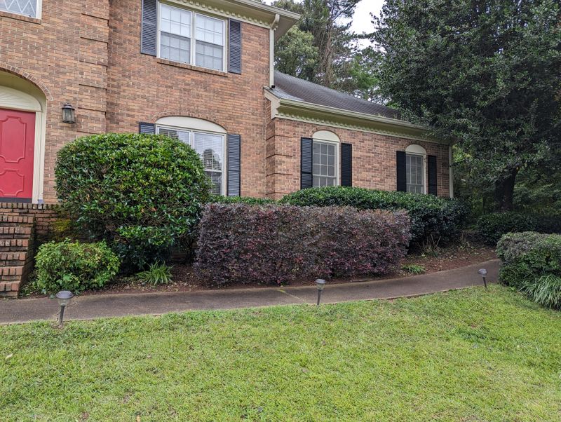 Shrub Trimming