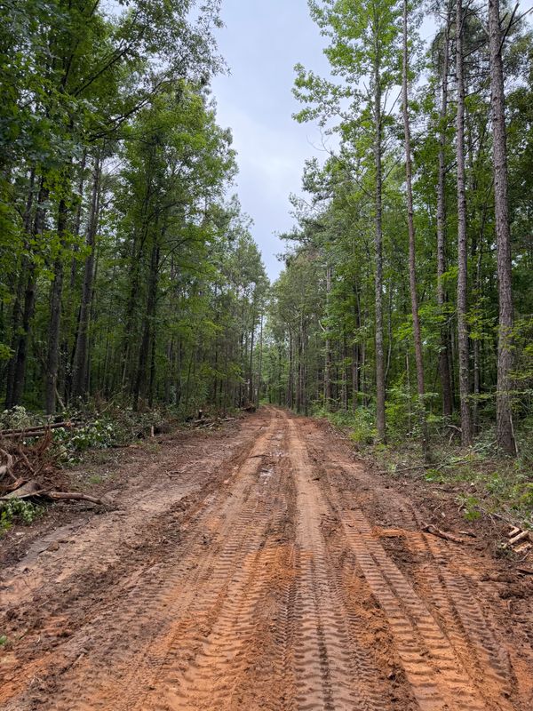 Land Clearing