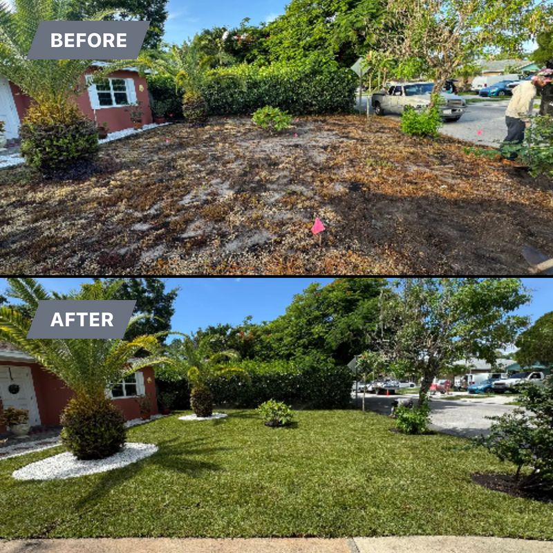 SOD Installation 