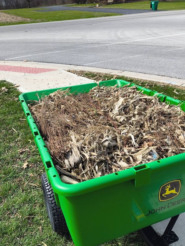 Junk Removal