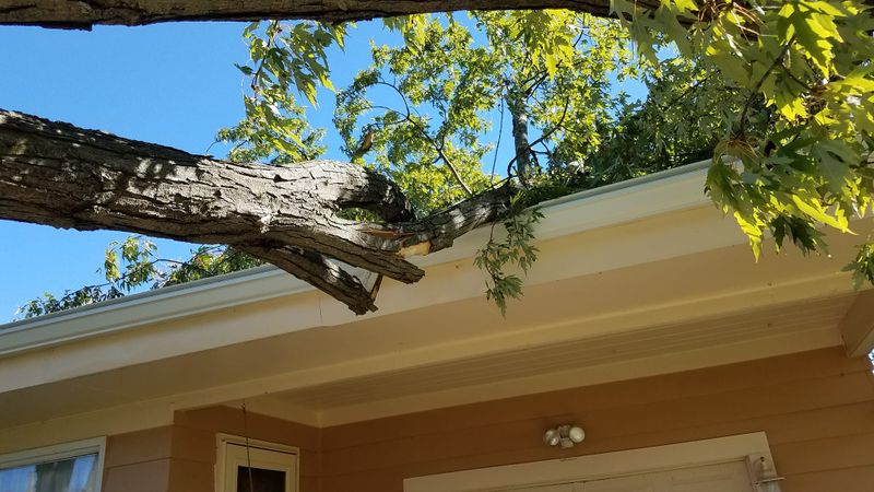 Storm Damage Cleanup gallery