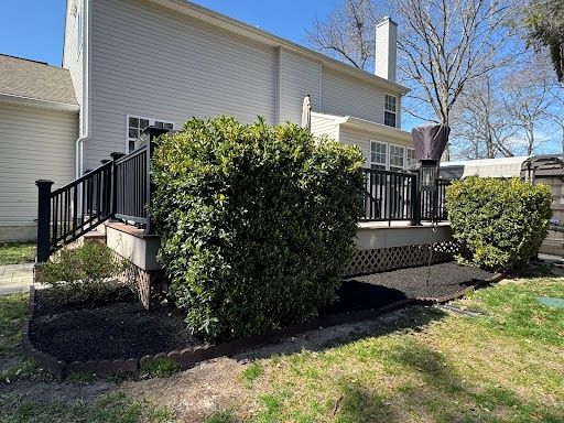 Shrub Trimming
