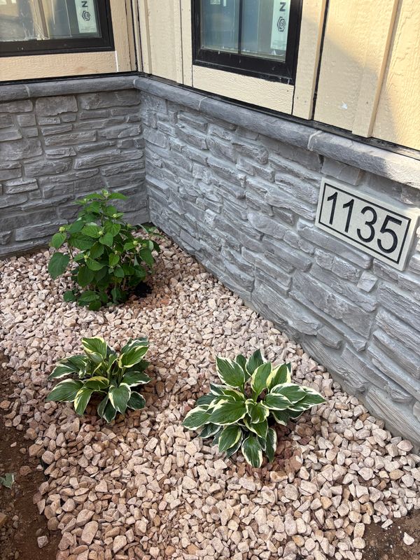 Tree and Shrub Care