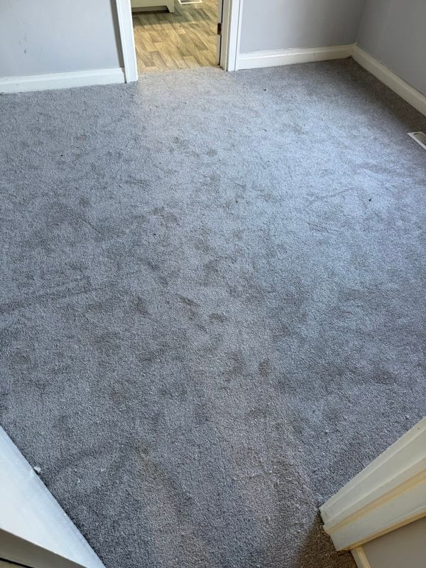 Carpet Installation and Replacement
