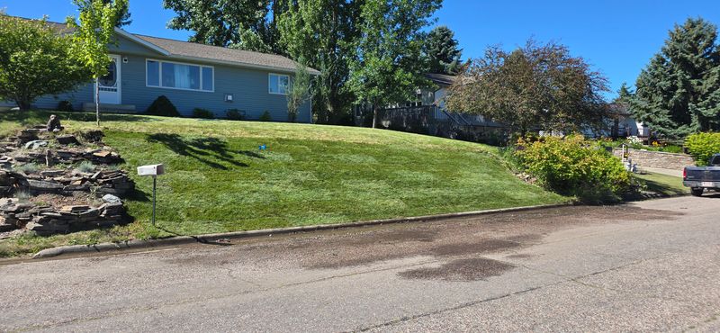 Lawn Maintenance