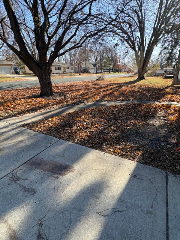 Seasonal Clean-Up Services