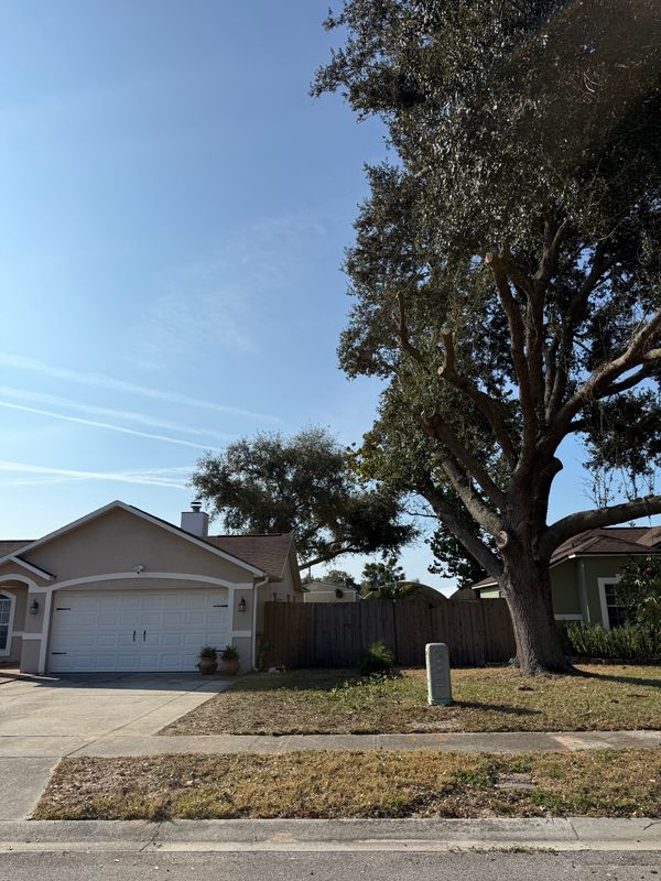 Tree Pruning