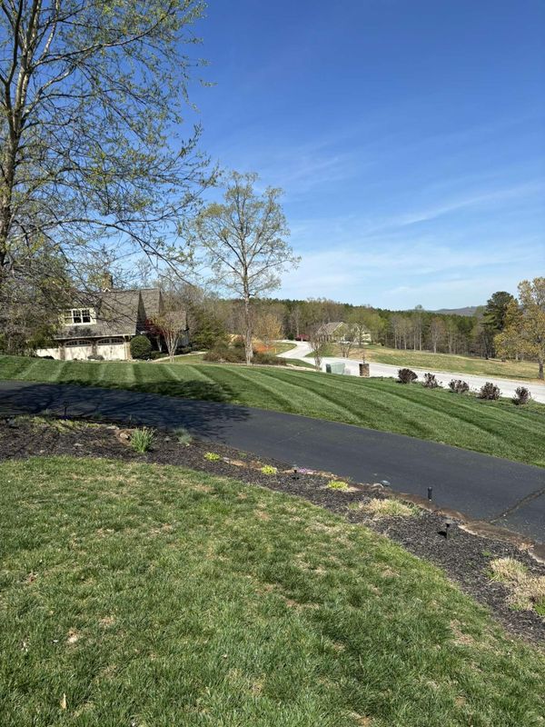 Lawn Care