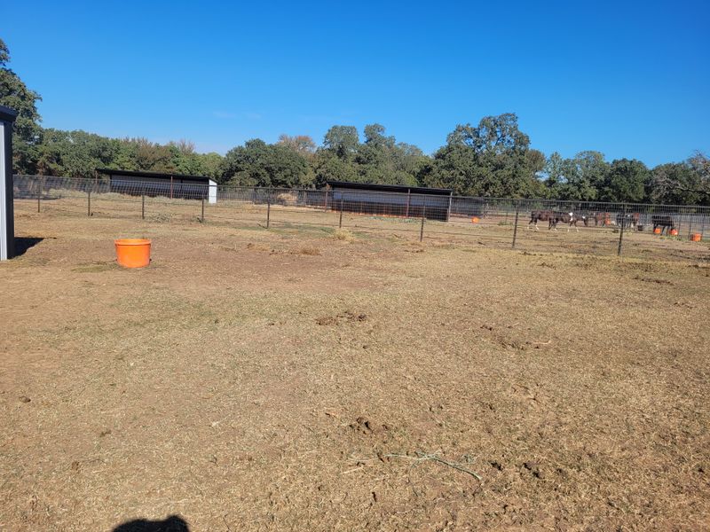 Fencing gallery
