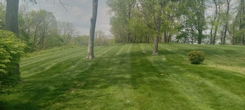 Landscape Installation