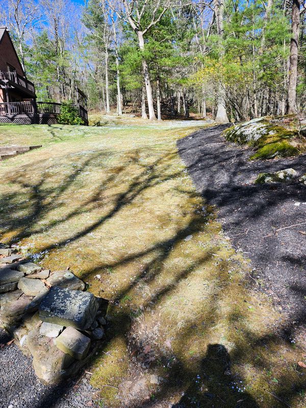 Spring & Fall Cleanups