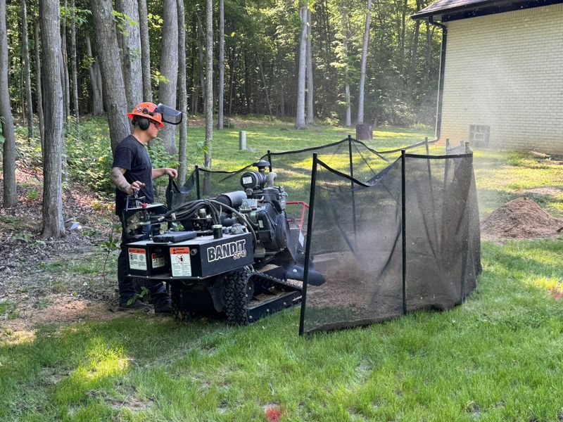Stump Removal gallery