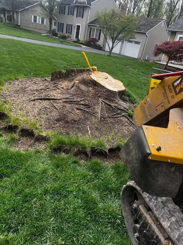 Stump Grinding