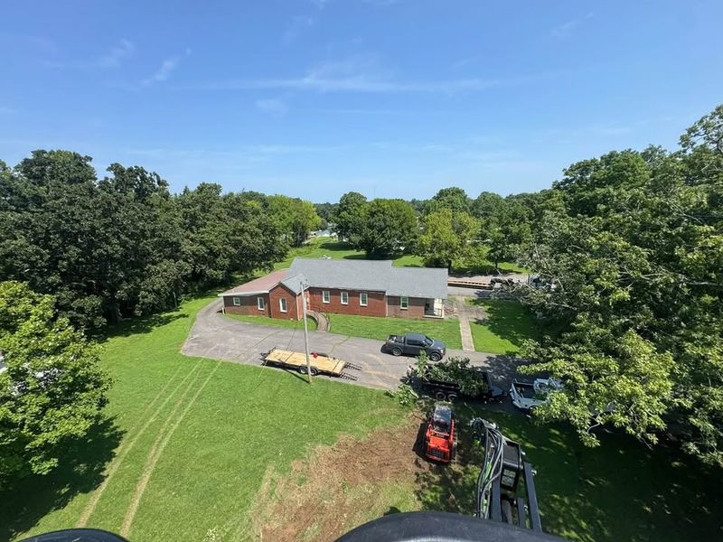 Lot Clearing