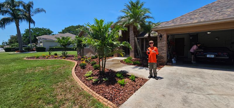 Palm Tree Installation
