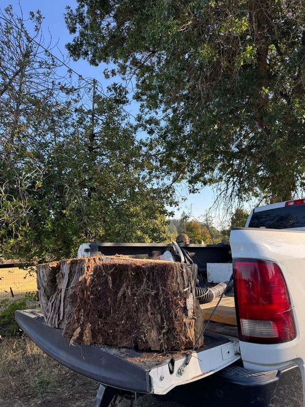 Tree Removals