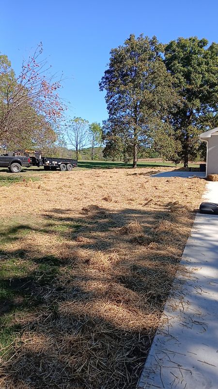 Landscaping