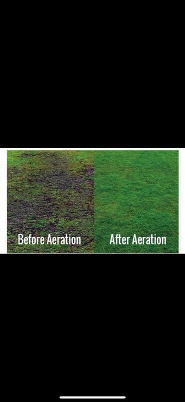 Lawn Aeration