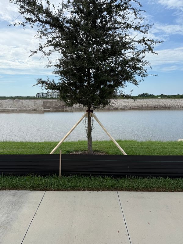 Tree Trimming