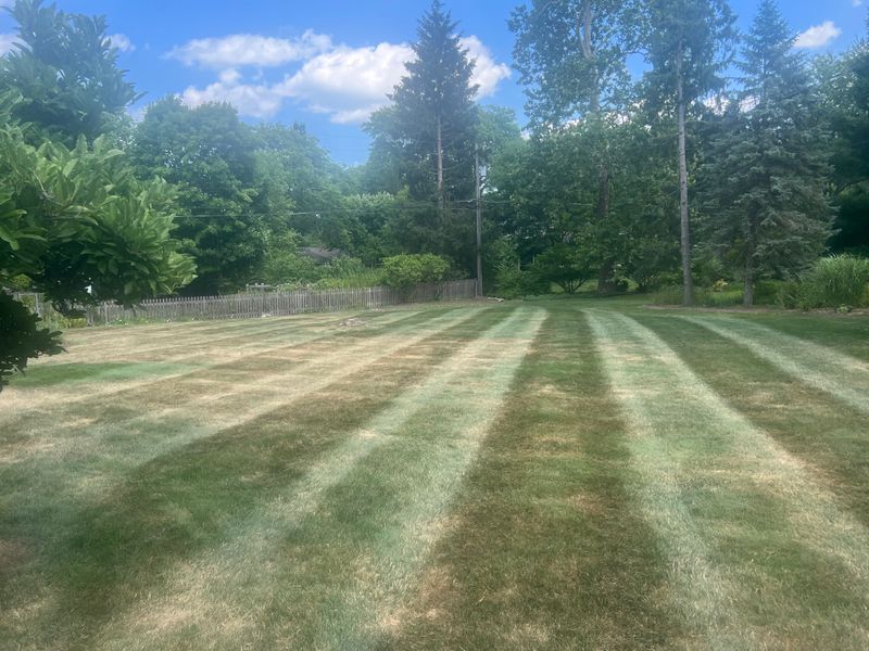 Mowing