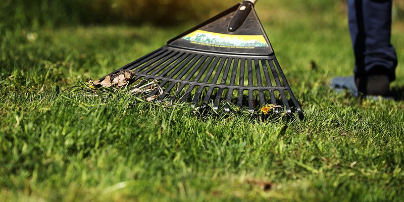 Fall and Spring Clean Up