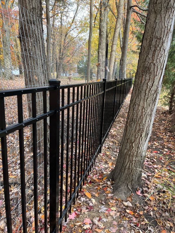 Ornamental Fences