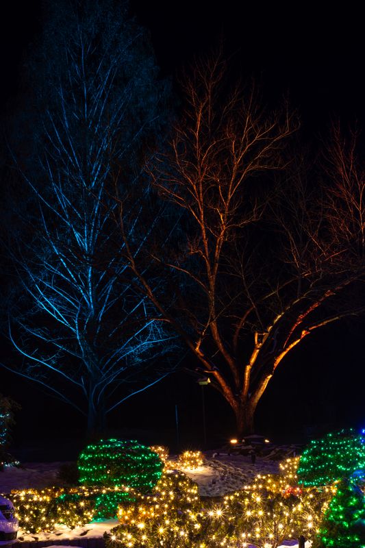Holiday Lighting