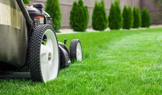 Mowing
