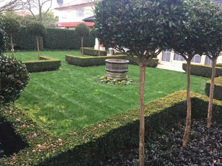 Lawn Mowing