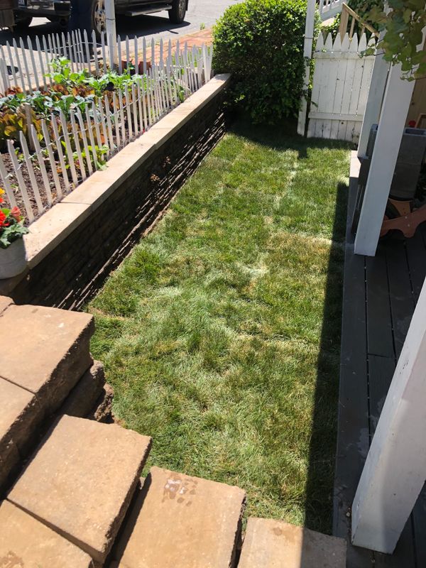Sod Installation