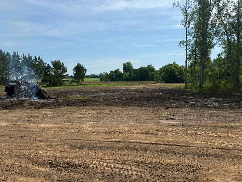 Land Clearing