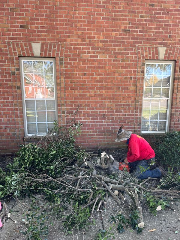 Landscaping