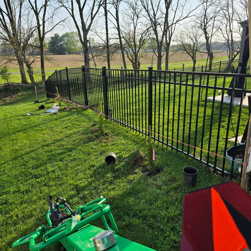 Lawn Maintenance