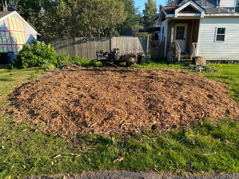 Stump Grinding