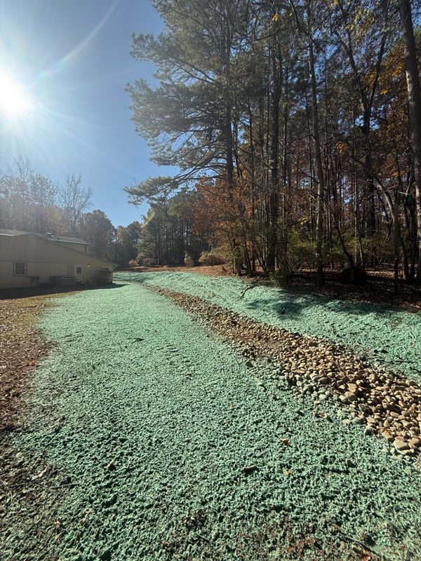 Hydroseeding