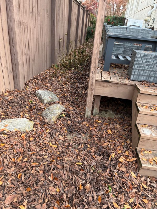 Fall Clean Up