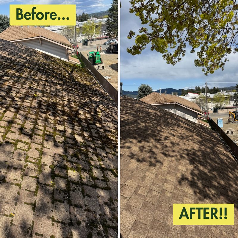 Before & After Photos