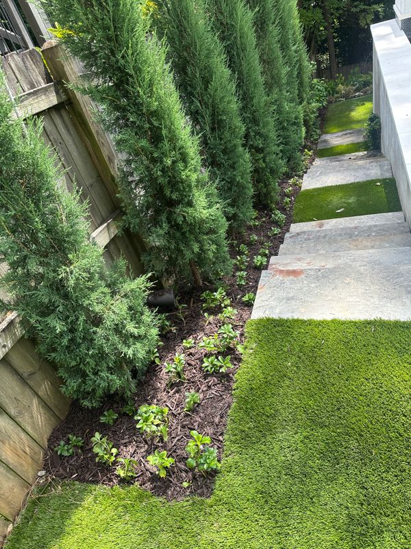 Lawn Care & Maintenance