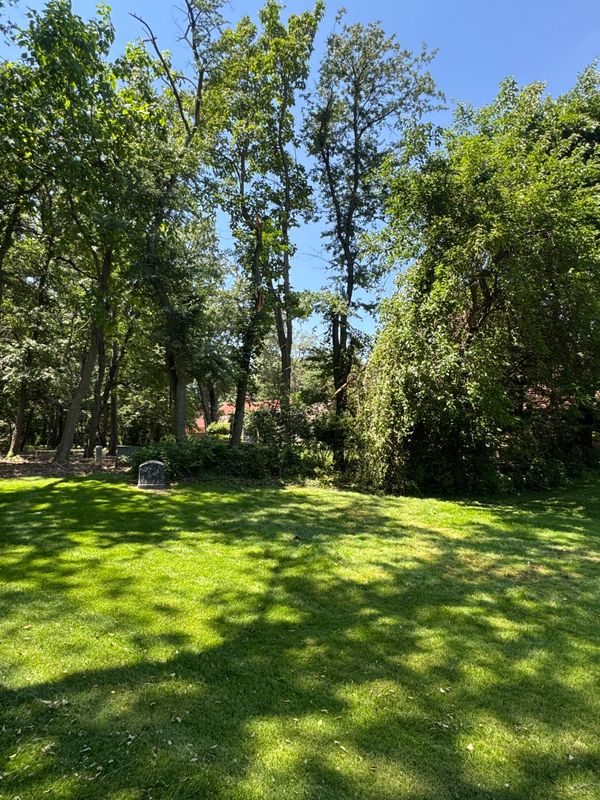 Storm Damage Tree Cleanup in Briar Ridge Done Right
