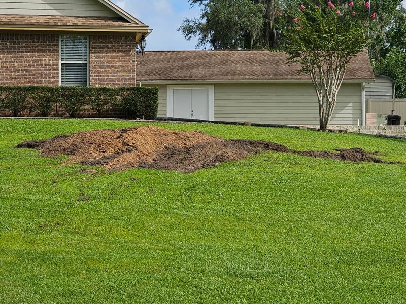 Stump Grinding