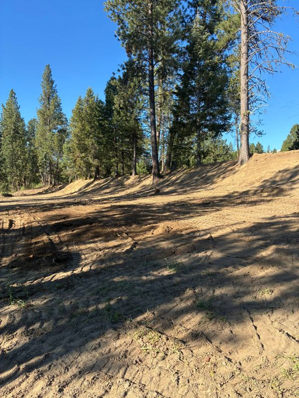 Land Clearing