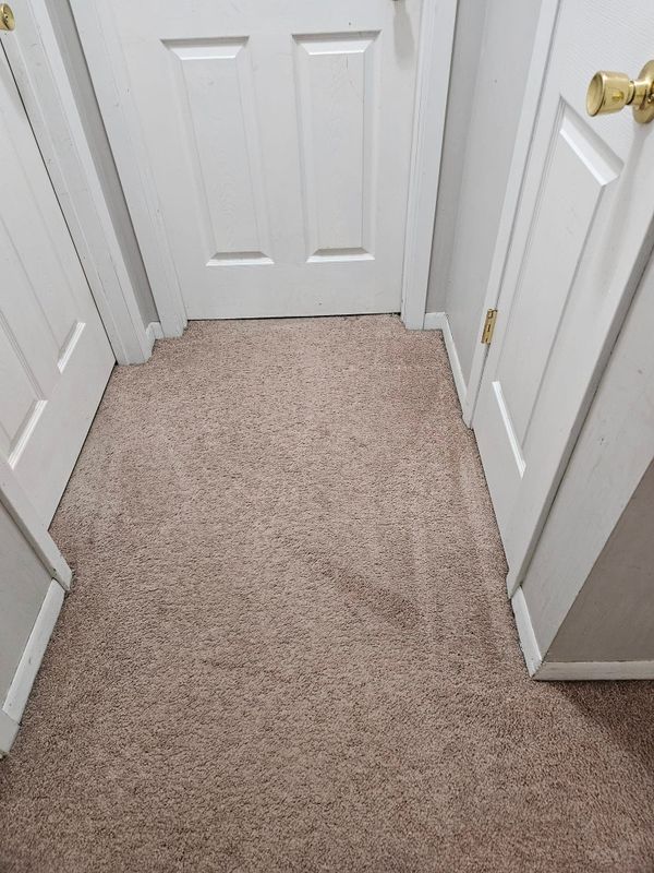 Carpet Cleaning