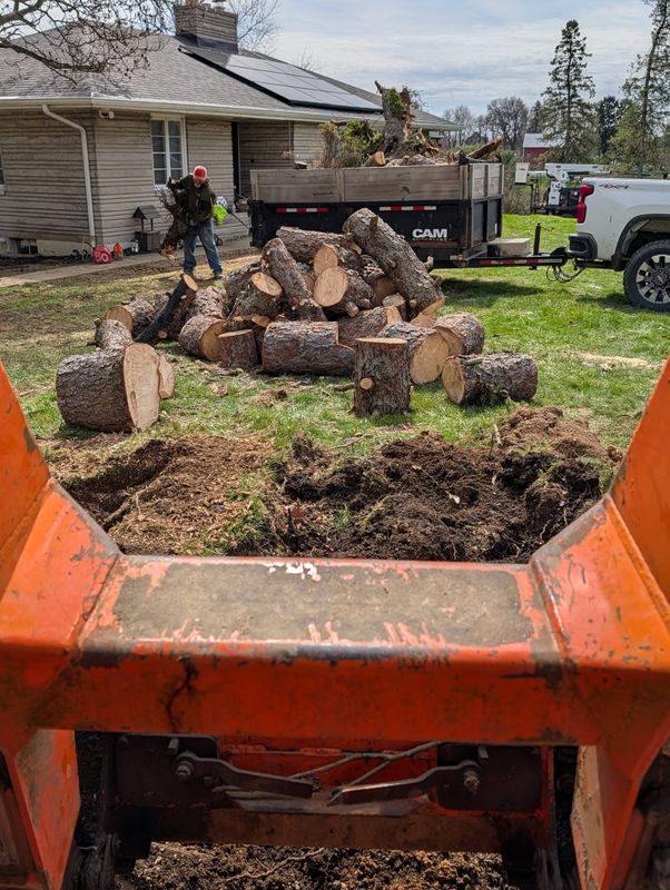 Tree & Shrub Care