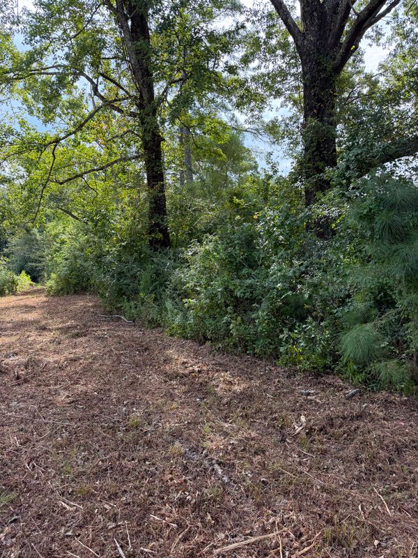 Land Clearing