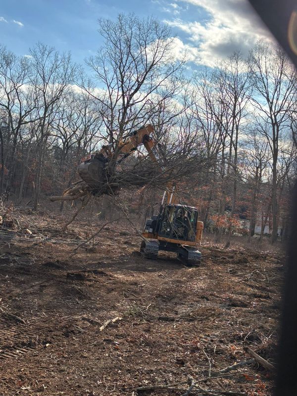 Land Clearing