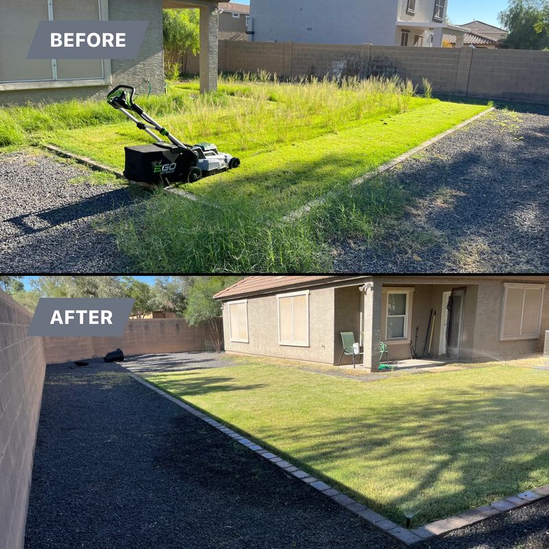 Lawn Maintenance